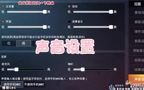 绝地求生声音怎么设置[图2]