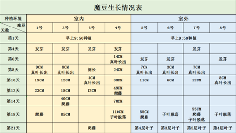我的世界魔豆怎么种