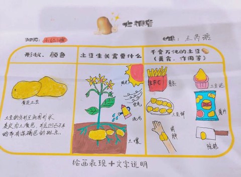 迷你世界土豆怎么种植[图1]