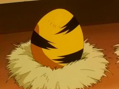 神奇宝贝蛋是什么宝贝