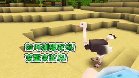 迷你世界的鸵鸟怎么驯服[图1]