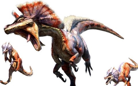 怪物猎人3狗龙怎么打[图2]